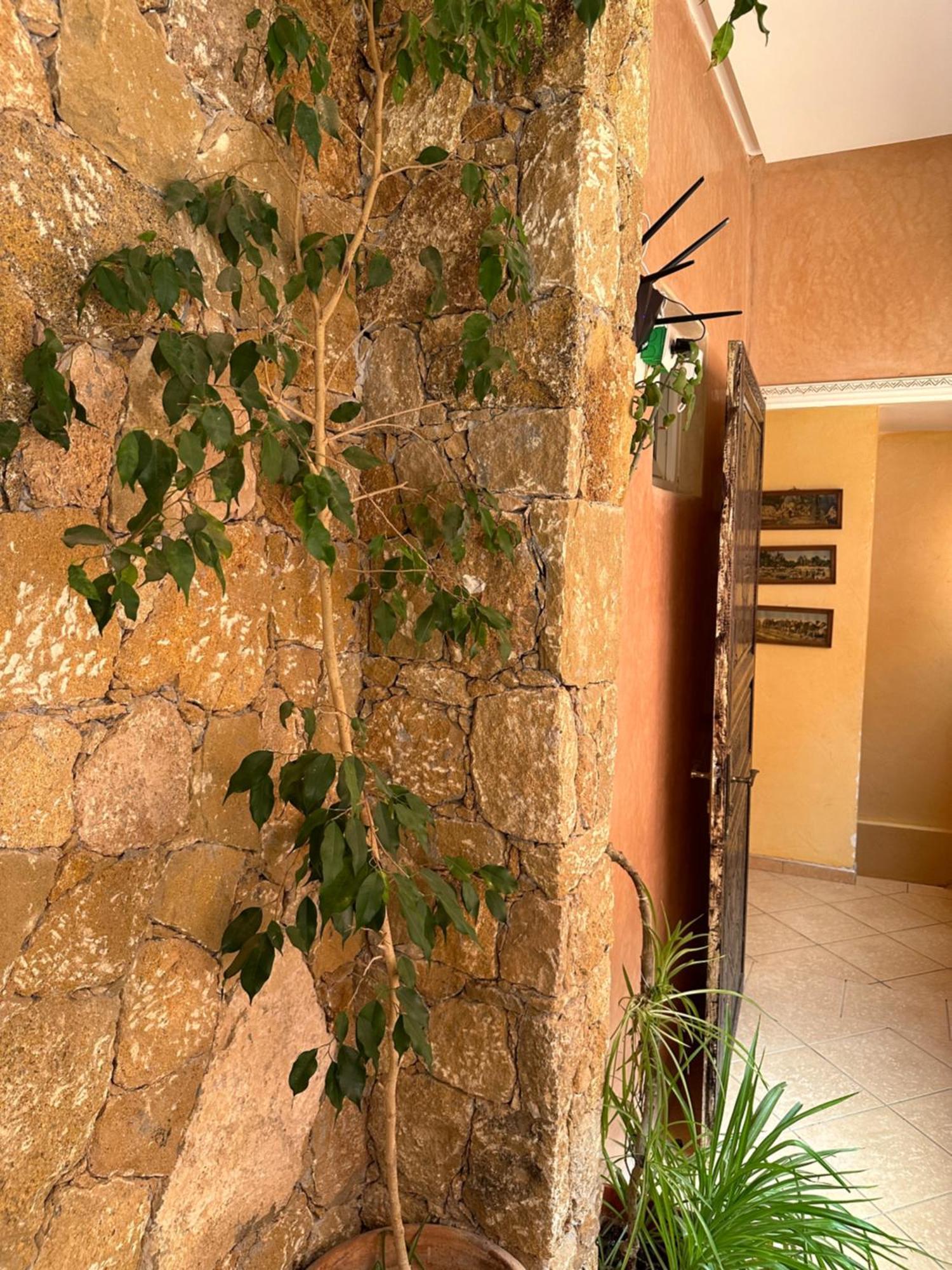 Europa Mirlef T Aventur Guest House Мирлефт Экстерьер фото